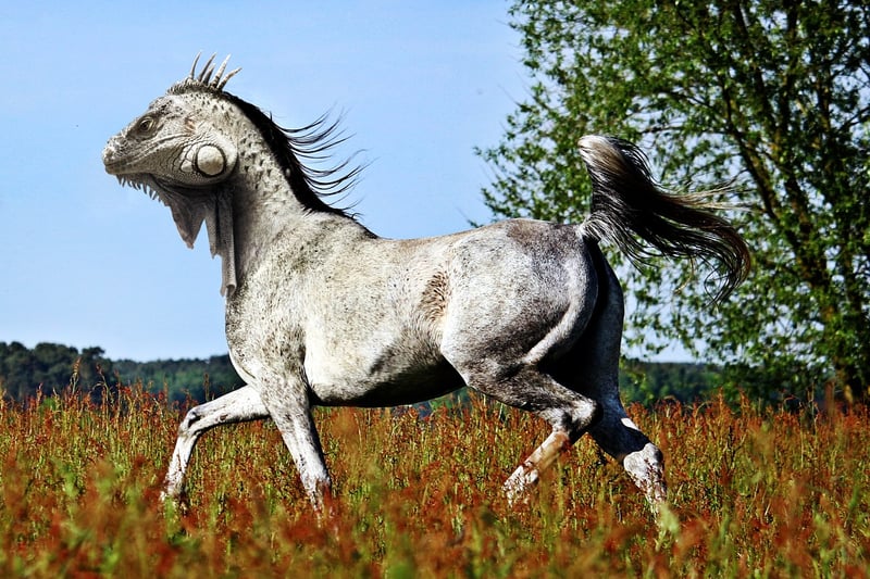 Mythical Meadows