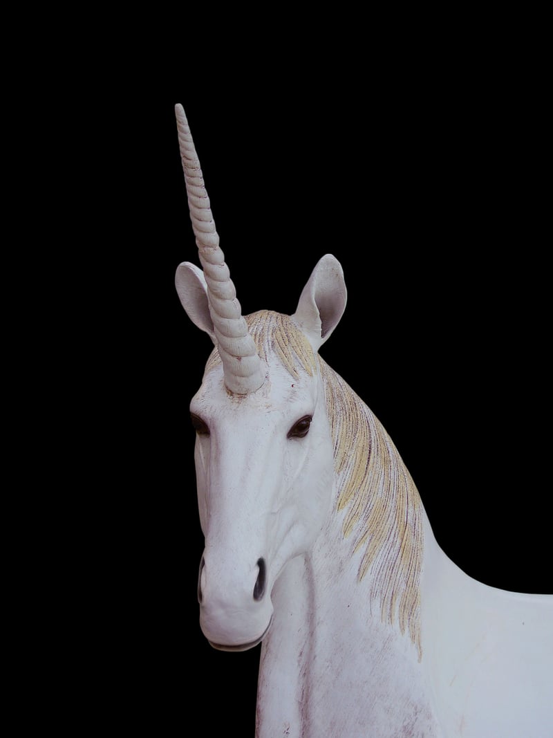 Unicorn Planter